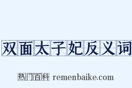双面太子妃反义词是什么意思的图片